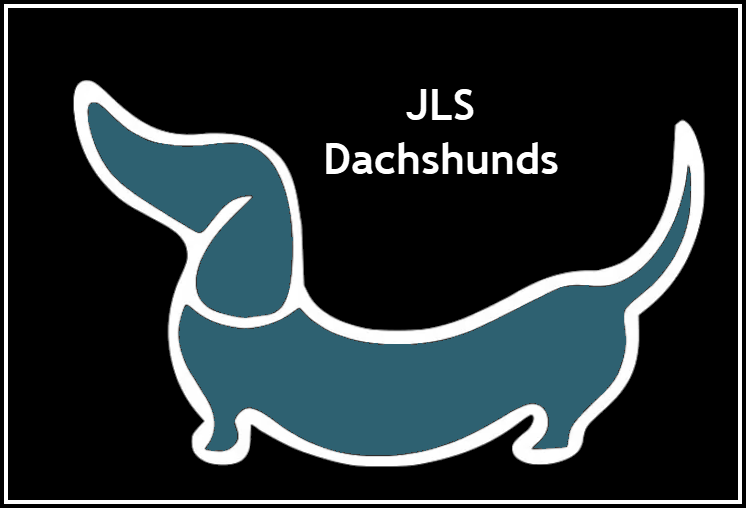 A dachshund dog is shown in the shape of a wiener dog.