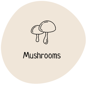 A picture of mushrooms on a green background.