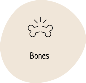A brown circle with the word bones written in it.
